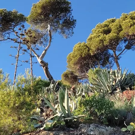 Presqu'il De St Mandrier Sur Location Saisonnieres * Saint-Mandrier-sur-Mer